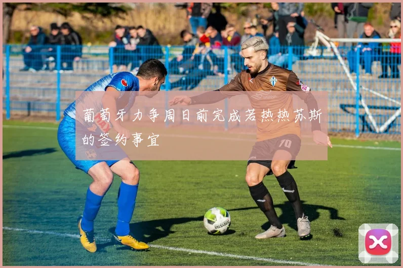 葡萄牙力争周日前完成若热热苏斯的签约事宜