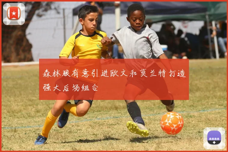 森林狼有意引进欧文和莫兰特打造强大后场组合